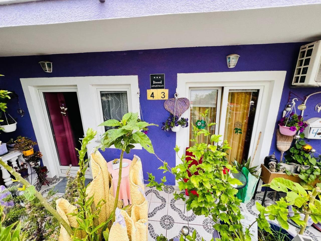 Mira